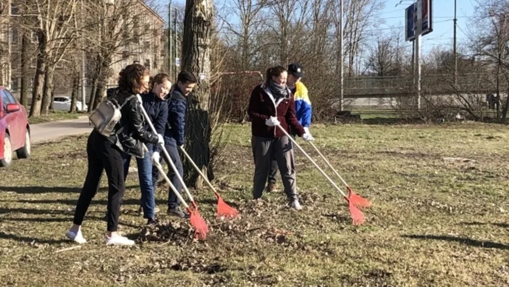 Городской субботник. Субботник. Субботники в красногвардейском районе. Городской субботник. Районный субботник.