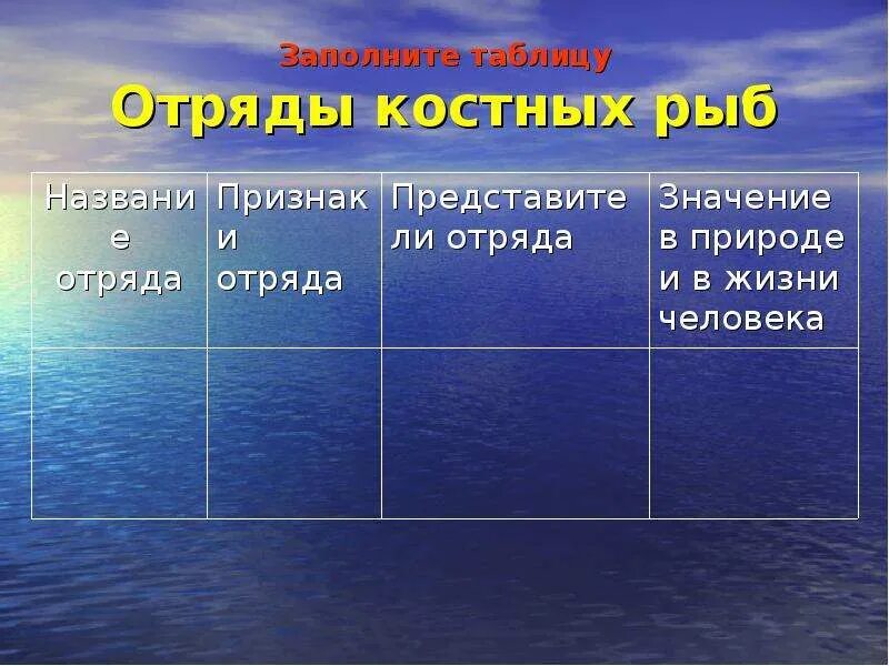 Характеристика групп рыб. Отряды костных рыб. Отряды хрящевых рыб. Отряды костных рыб таблица. Название отряда костных рыб.