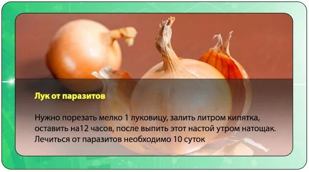 Феминистки отрежу яйца. Помощь луке. Лука крымский фото. Лук лимонник. Лук лимон и мёд.