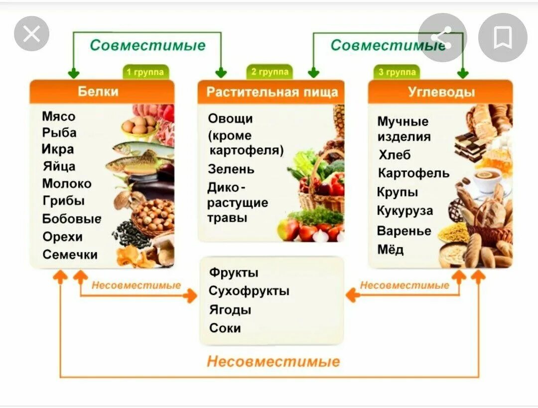 Жиры углеводы белки таблица питание совместимости продуктов. Схема питания белки жиры углеводы. Белки жиры углеводы таблица продуктов раздельное питание. Таблицы сочетания продуктов питания.