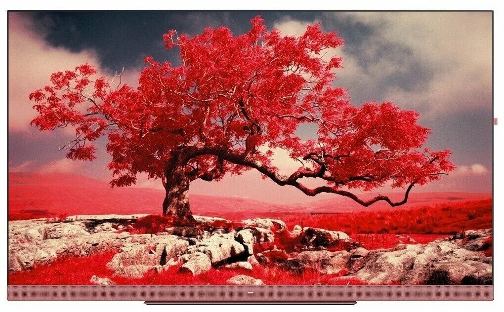 кристофер беркетт пейзажная фотография. дерево красно белые цвета. Acer rubrum (клен красный) 'red sunset'. Acer rubrum red sunset. фотообои розовые деревья.