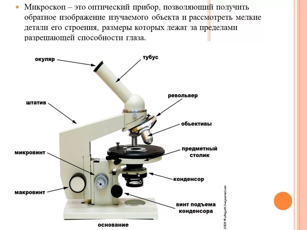 Схема устройства микроскопа. Схема устройства микроскопа