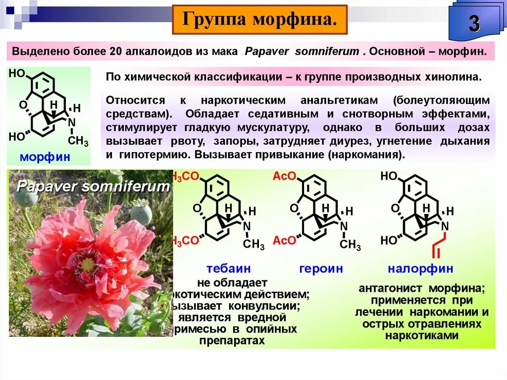 Сырье содержащие алкалоиды. Алкалоиды классификация фармакогнозия. алкалоиды в растениях. алкалоиды формула.