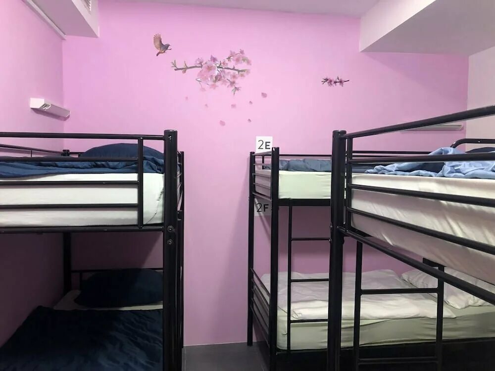 свободы 35с18 хостел. хостел нова. хостел в польше. краматорск общежитие. одоевского хостел пермь.