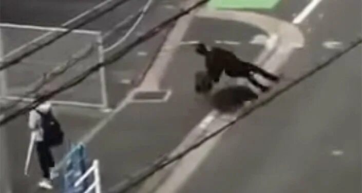 Сон кабан нападает. Кабаны напали на человека. кабан нападает на человека. кабан напал на человека фото. нападение кабанов на человека видео.