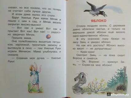 Старые деревья давно облетели