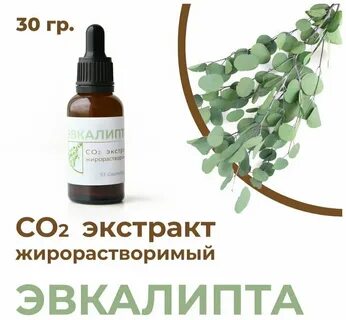 Экстракт эвкалипта