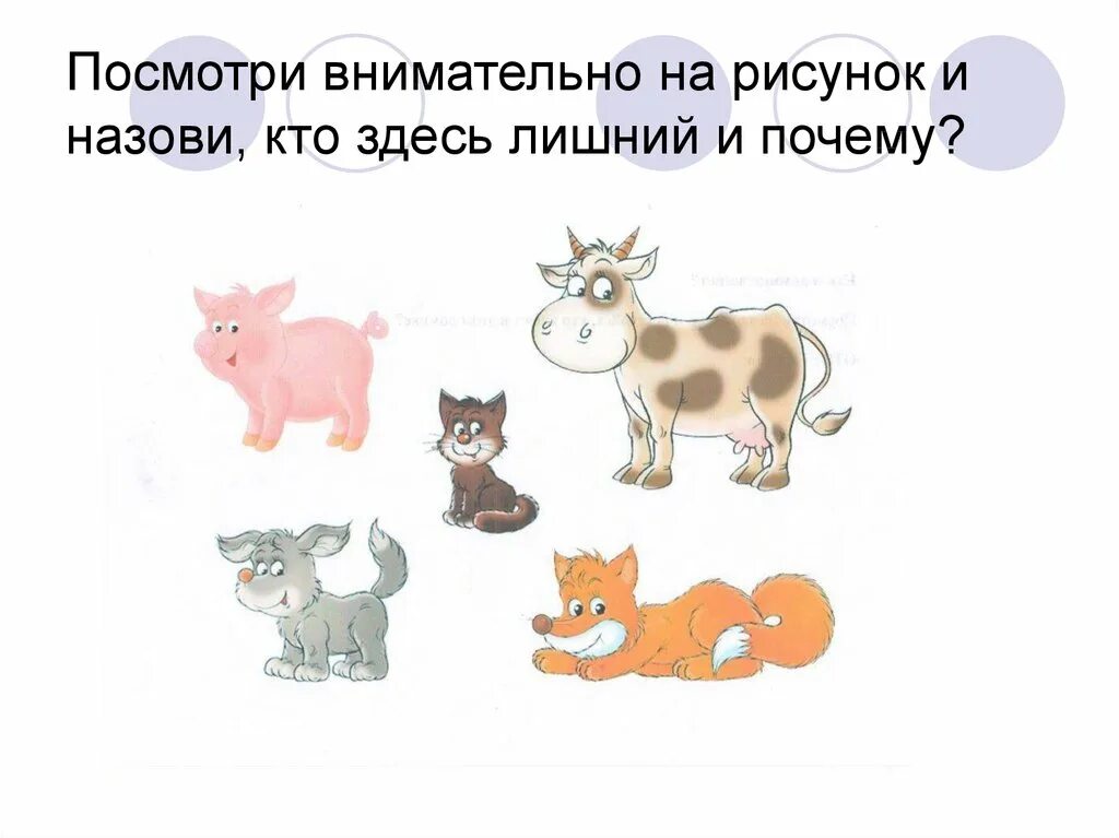 Какая группа животных здесь лишняя. Кто здесь лишний картинки для детей. картинки для детей кто тут лишний. кто здесь рисунок. назови кто это.