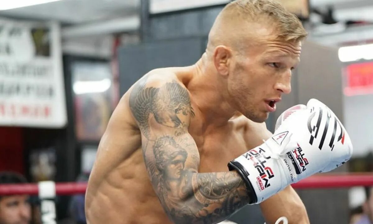 Ти Джей Диллашоу тату. Ти Джей Диллашоу после весогонки. TJ Dillashaw тату. Джи джи селл