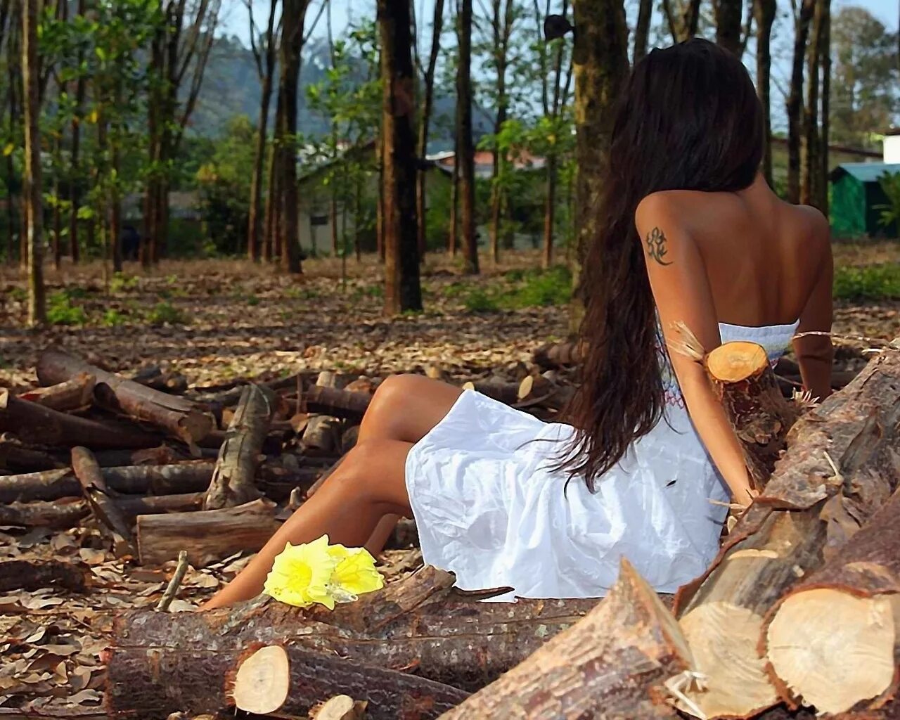 отдых в лесу. красивые брюнетки на природе. фотосессия в лесу летом. девушка в лесу. красивые брюнетки на природе.