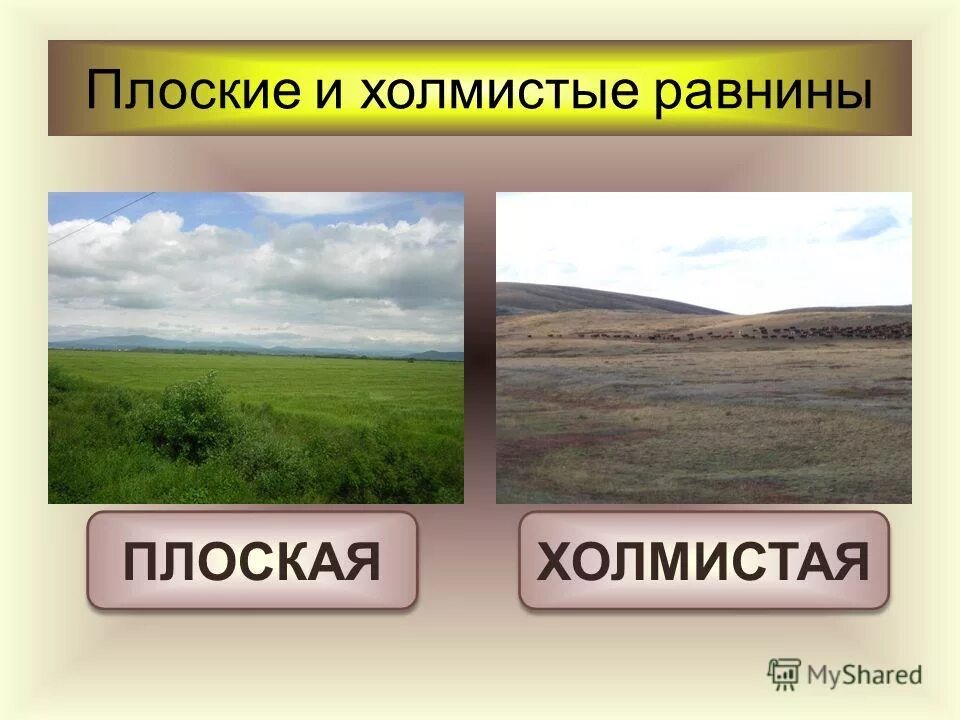какая территория относится к плоским равнинам. какая территория относится к плоским равнинам. равнины низменности плоскогорья плато. рельеф равнины. равнины какие бывают низменности.