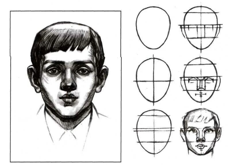 Изо 3 класс портрет поэтапное рисование. Пропорции головы человека анфас. Построение лица человека рисунок. Графический портрет человека. Последовательность рисования портрета.