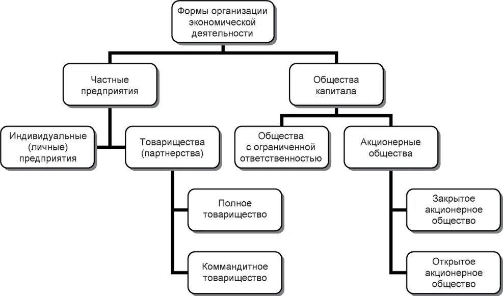 Организационно-экономические формы предприятий. Многообразие организационных форм. Индивидуальное предприятие имущество. Организационная структура товарищества и общества. А также организации и частные