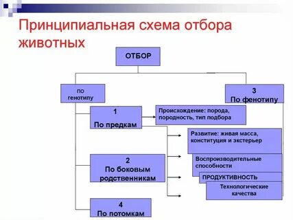 Методы отбора f1