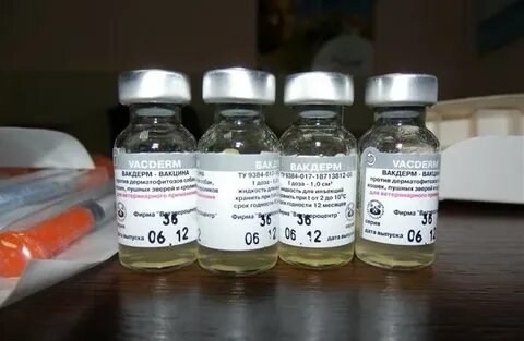 Вакдерм вакцина инструкция