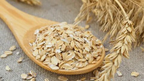 Avena
