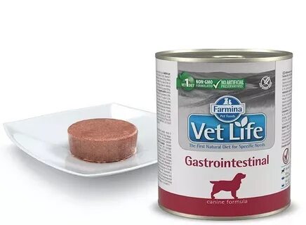 Clan gastrointestinal
