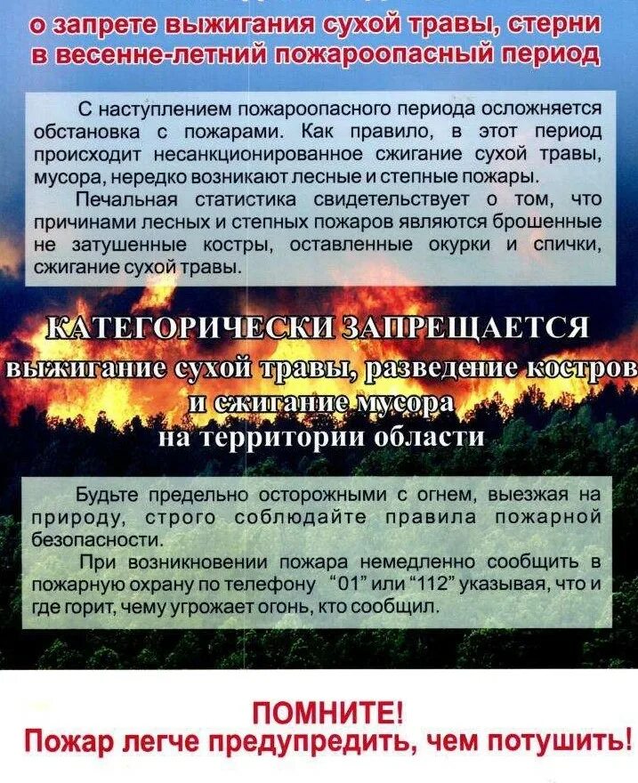 Подготовка к весенне летнему пожароопасному периоду. Памятки пожарной безопасности в весенне-летний период. Памятка о мерах пожарной безопасности в пожароопасный период. Памятки по пожарной безопасности в летний пожароопасный период. Памятка о запрете выжигания сухой травы.