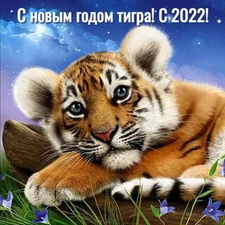 С новым годом тигра