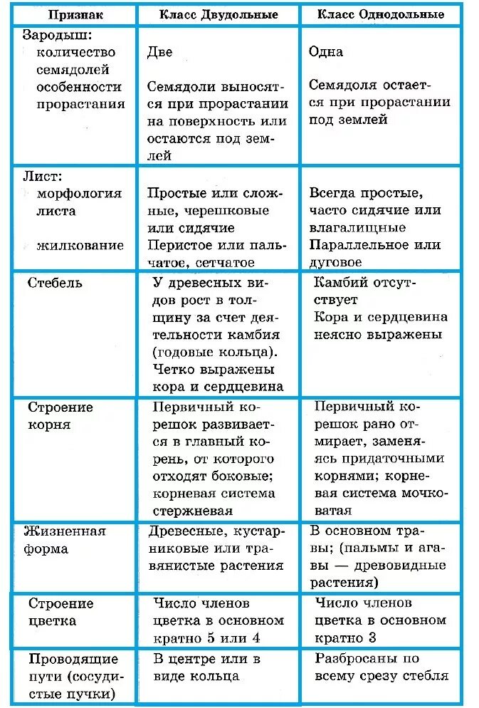 Класс однодольных и двудольных растений таблица. Отличия однодольных и двудольных растений таблица. основные различия однодольных и двудольных растений таблица. разница между однодольными и двудольными растениями таблица. различия однодольных и двудольных растений таблица.
