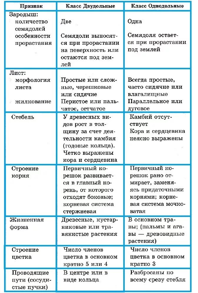 Главное различие двудольных и однодольных. Отличия однодольных и двудольных растений таблица. Основные различия однодольных и двудольных растений таблица. Разница между однодольными и двудольными растениями таблица. Различия однодольных и двудольных растений таблица.