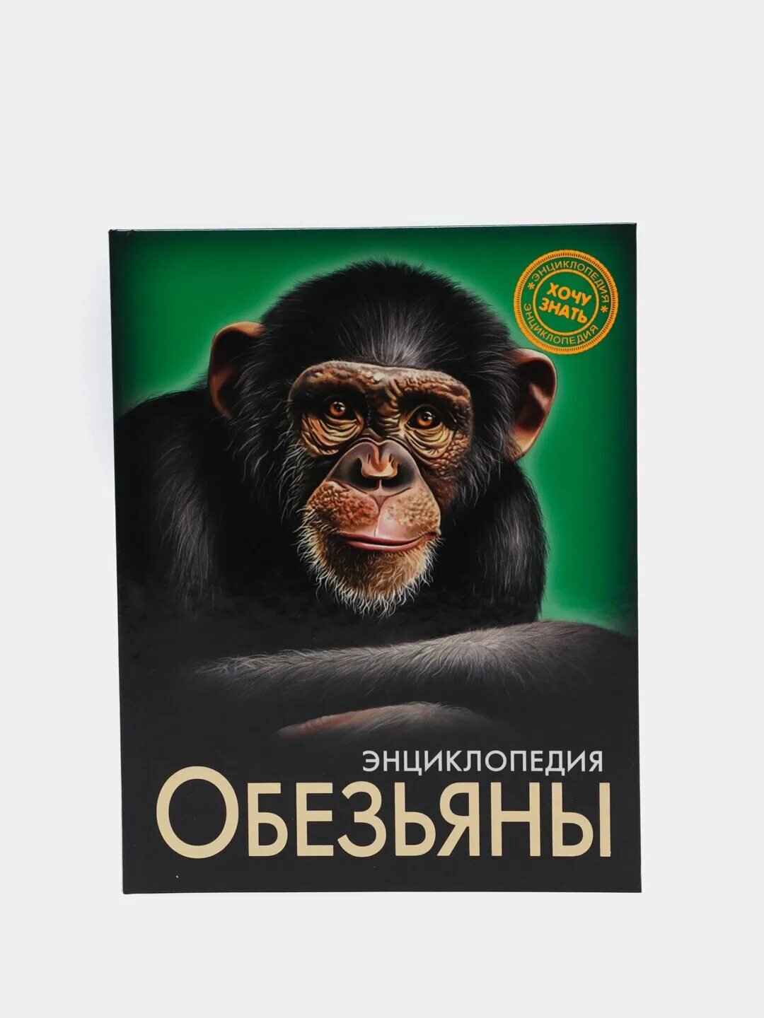 Обезьяны. Энциклопедия. Детская энциклопедия обезьяны. Детская энциклопедия обеъзны. Книга про обезьян энциклопедия. Статья об обезьянах в энциклопедии 3