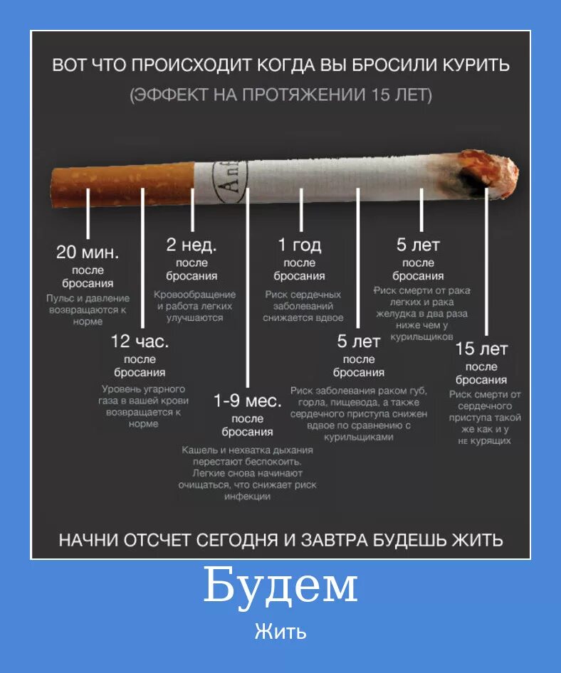 После плотного обеда надо покурить. Бросить курить. Если бросить курить. Человек бросает курить. Бросить курить что будет.