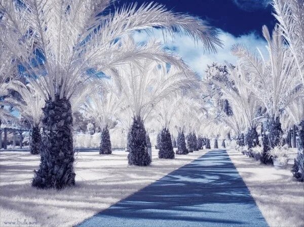 ❄ ️Новогодние каникулы на Селигере ❄ - отдых по цене от 39 000 ₽ - YouTravel.Me
