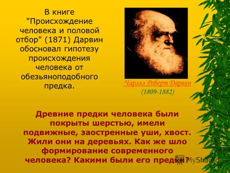 теория чарльза дарвина о происхождении человека. чарльз дарвин теория эволюции. происхождение человека. чарльз дарвин происхождение человека. дарвин представление о происхождении человека.