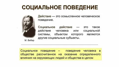Назовите субъекты социального поведения