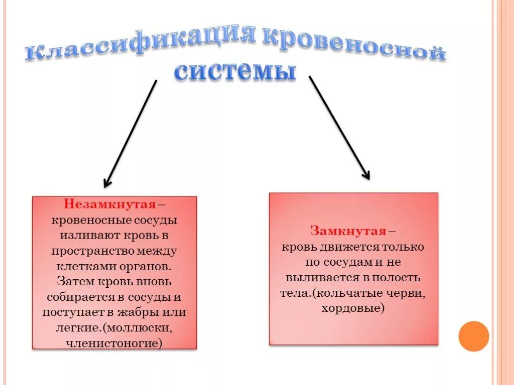 Замкнутая и незамкнутая кровеносная система таблица. Замкнутая и не замкнутая кровенстная система. Типы кровеносных систем. Типы кровеносных систем таблица. Незамкнутая кровеносная система представители