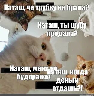 Где ты сам песня