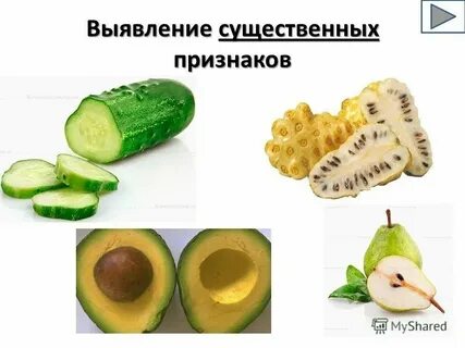 Какой существенный признак оригинала дельфин
