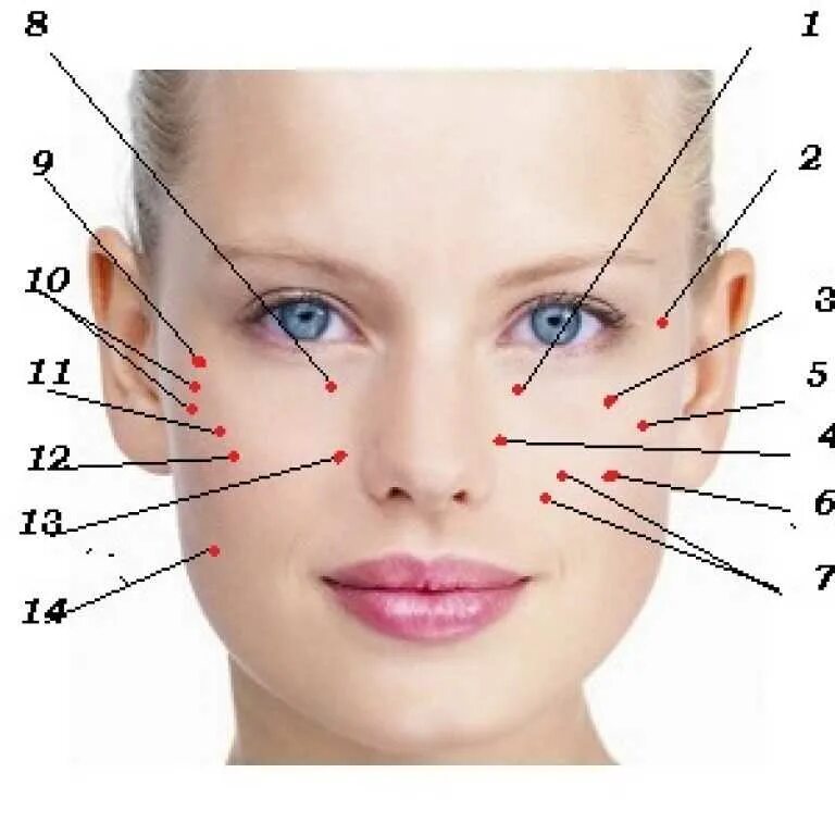 Части лица названия. Лицо название частей лица. Прыщ на правой стороне примета