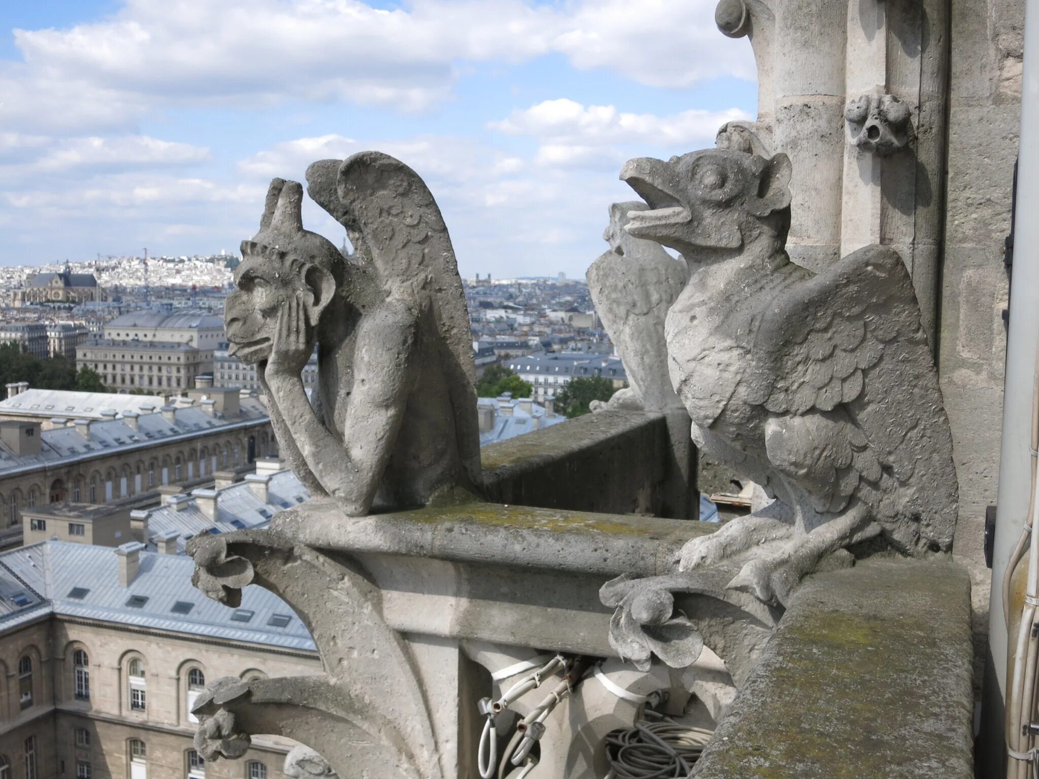 Собор парижской богоматери горгульи и химеры. Химеры собора нотр дам де пари. Собор парижской богоматери горгульи. Собор парижской богоматери гаргульи. Нотр дам де пари собор горгульи.
