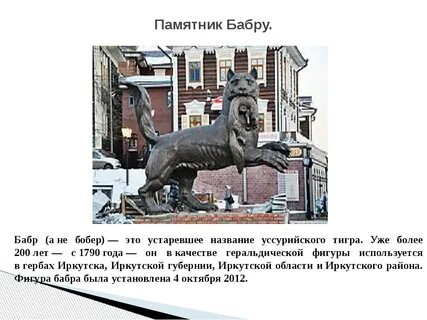 Иркутский описание