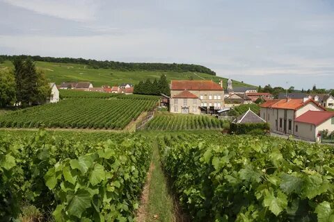 Cote des