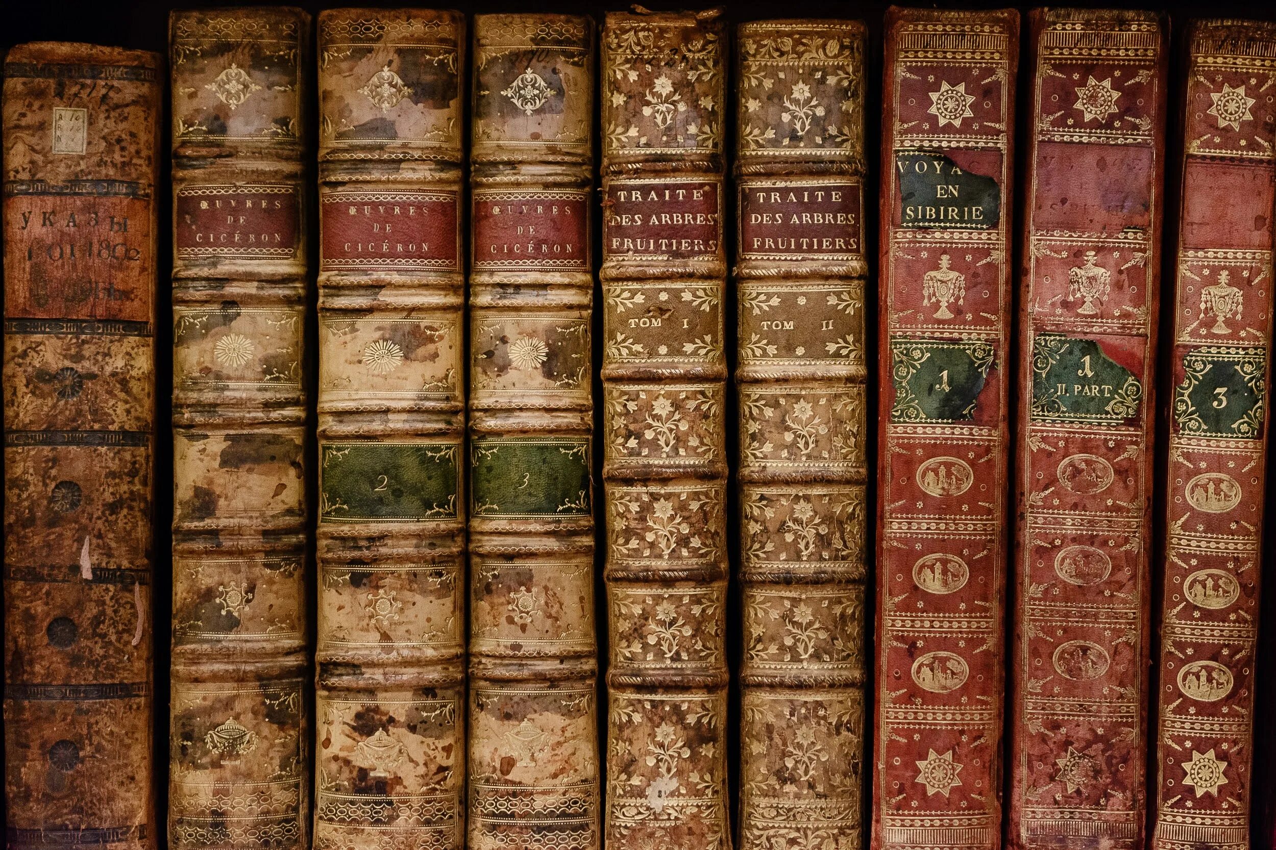 Книжные редких книг. Редкие книги. книжные издания. книжные сокровища. самые редкие книги.