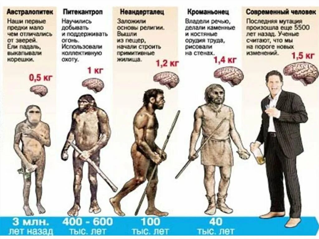 Люди на земле появились около. Ступени развития человека хомо сапиенс. Таблица эволюции неандерталец кроманьонец. Эволюция человека неандерталец кроманьонец. Типы древних людей.