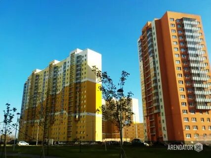 Квартиры в питере от застройщика