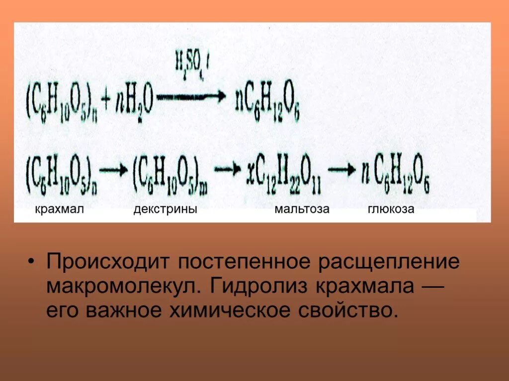 Реакция расщепления происходит в. Декстрины крахмала. Гидролиз крахмала. Крахмал декстрины мальтоза. Расщипдение коазмал жо мальтозы.