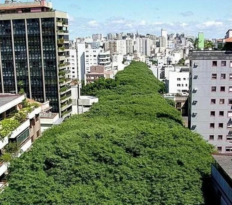 Зелёные вещи эстетика. Включи самые зеленые. Зеленые районы москвы. Включи самые зеленые. Включи самые зеленые.