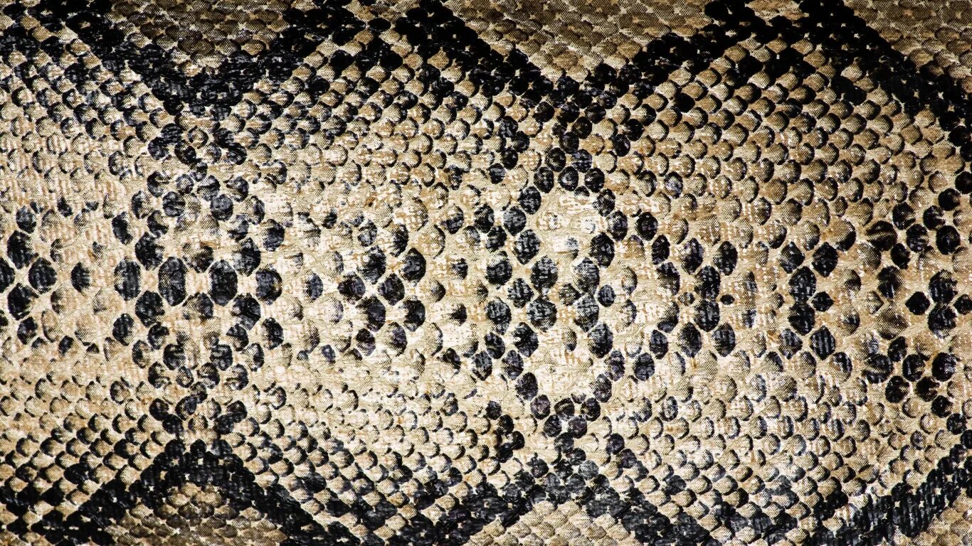Snake pattern