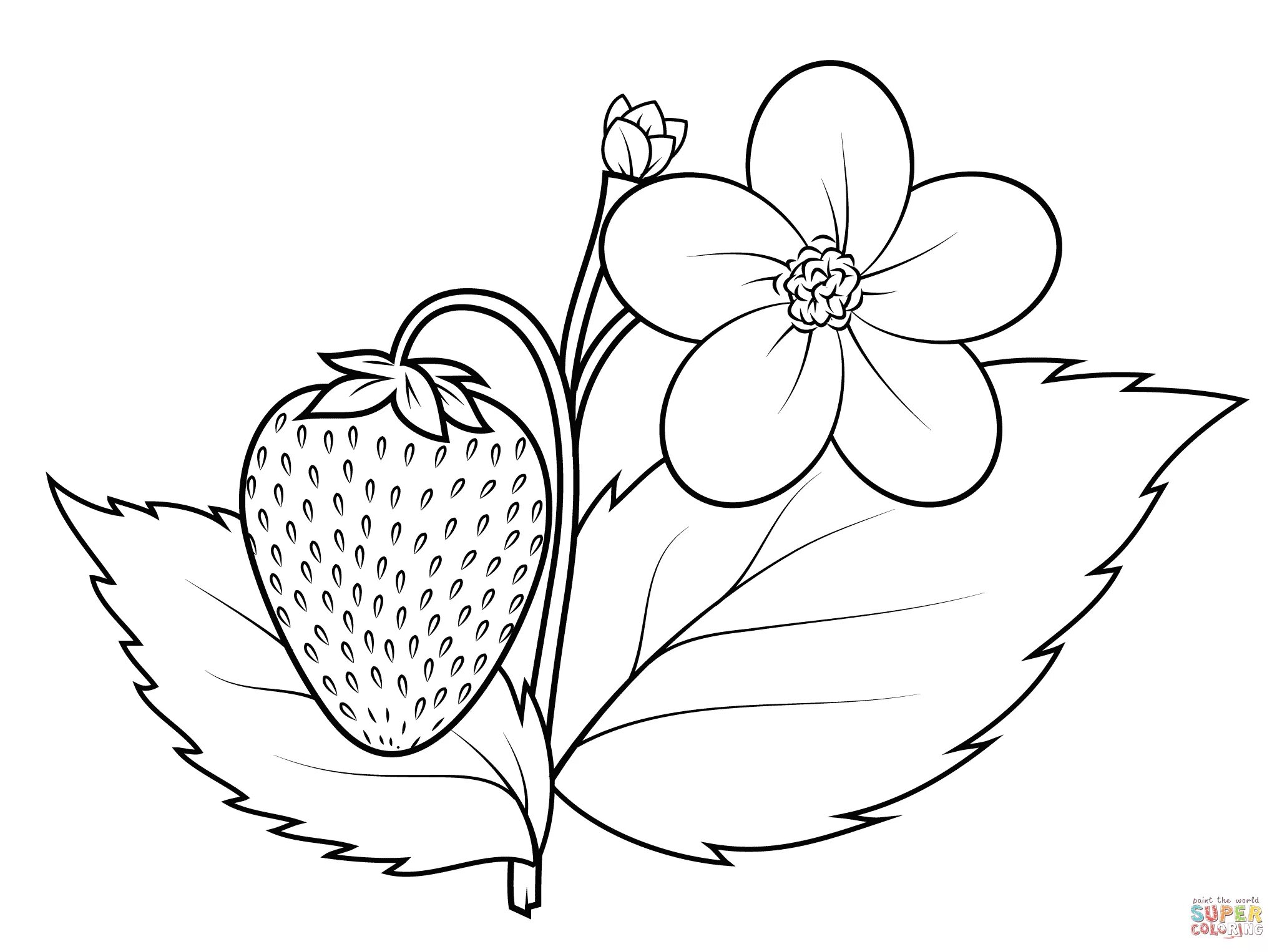 Клубника раскраска для детей распечатать Strawberry Stamp Stock Illustrations 1,251 Strawberry Stamp Stock Illustration