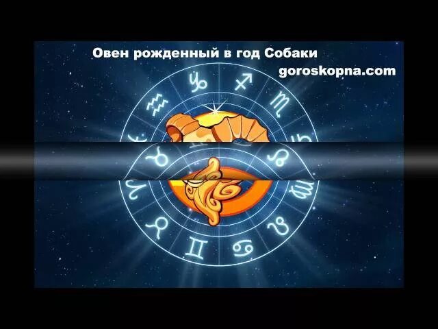 Телец в год кролика. Год зайца характеристика. Гадалка овен собака. Год кролика характеристика. Год кролика характеристика.