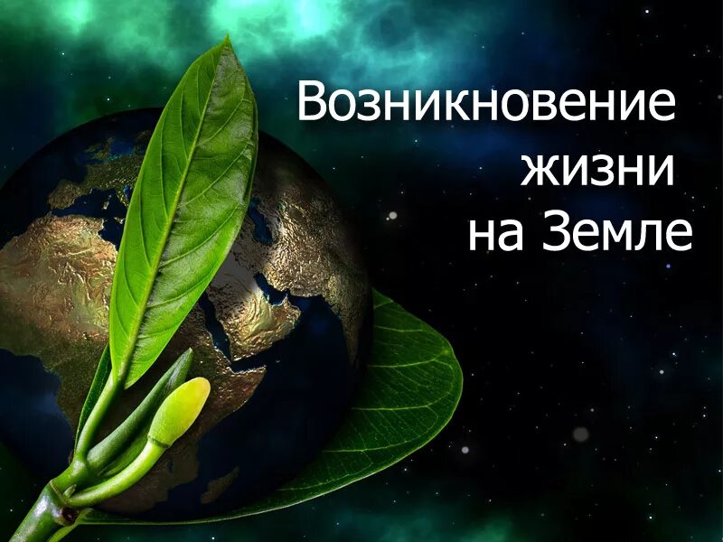 Когда зародилась жизнь на нашей планете. Происхождение жизни. Возникновение жизни. За рожденье жизни на земле. Происхождение жизни на земле.