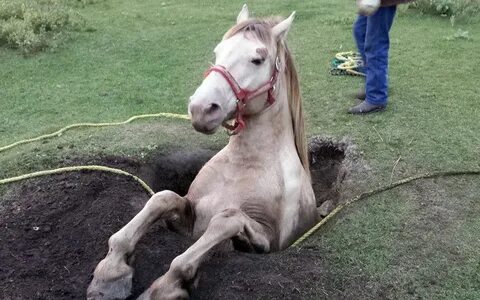 Нелепая судьба