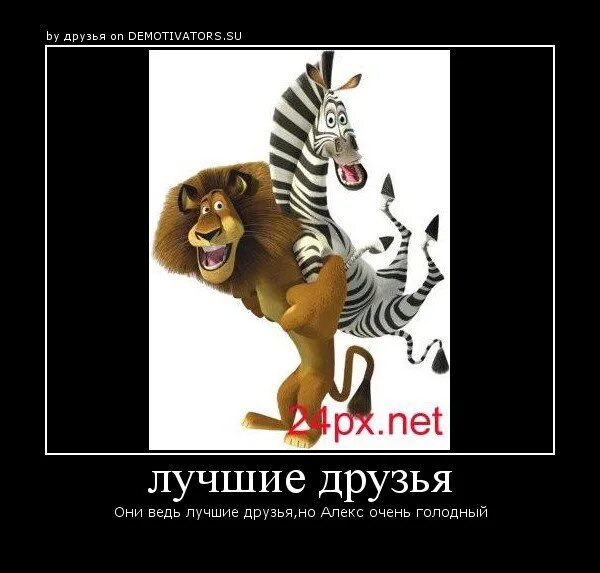 Хороших друзей не бывает не бывает. Друзья бывают разные. друзей не бывает.