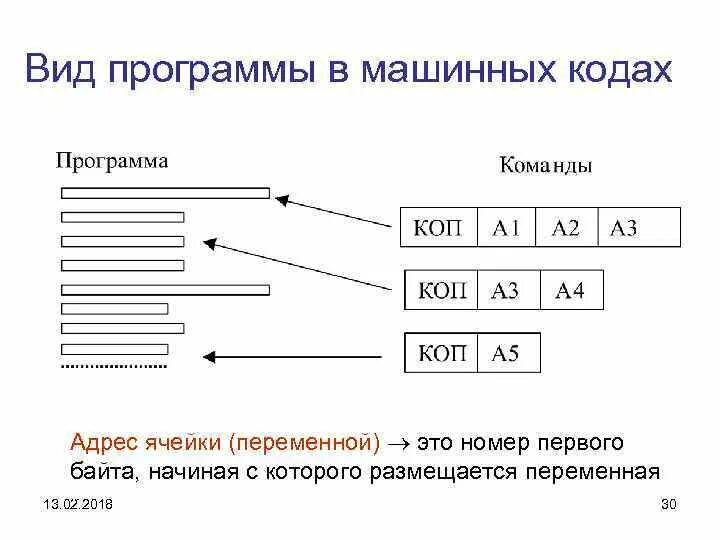 Системы машинного кода. Разновидность программы в машинных кодах. Программирование в машинных кодах. Компьютерный код. Программа на машинном коде.