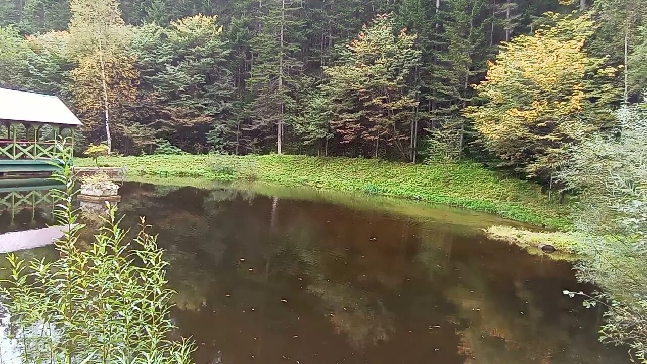 Тумнинский родник. Река Тумнин Хабаровский край. Санаторий Тумнин Хабаровский. Тумнинские термальные источники — Хабаровский край. Горячий ключ, поселок Тумнин.